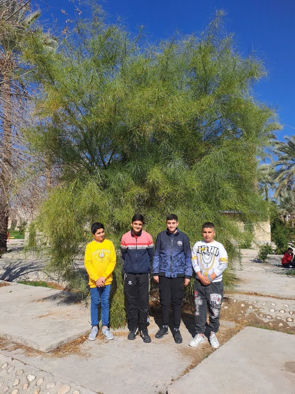 اردو دبیرستان مفید